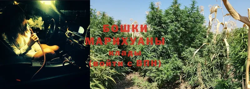 omg маркетплейс  Бежецк  Бошки марихуана Ganja 